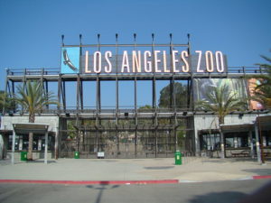 Hollywood Bowl LA Zoo Shuttle Bus
