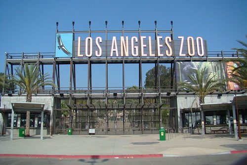 Hollywood Bowl LA Zoo Shuttle Bus